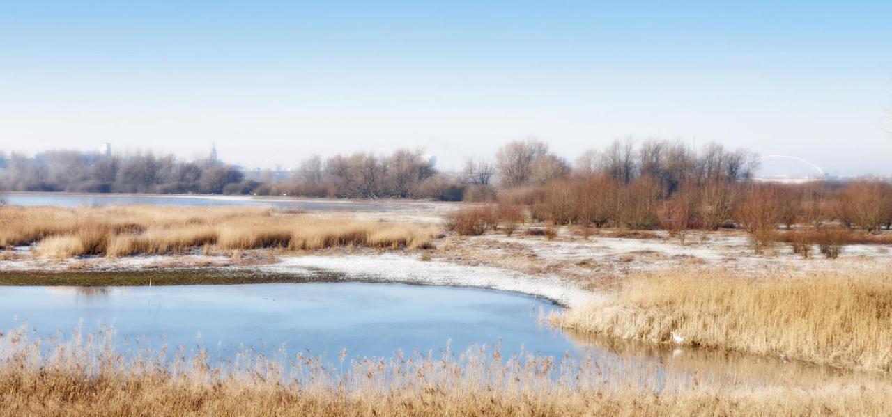 Gezinskamer Van Waard Van Kekerdom ภายนอก รูปภาพ